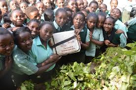 Sub County Secondary Schools in Tharaka Nithi County; School KNEC Code, Type, Cluster, and Category