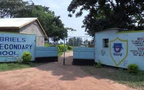 Sub County Secondary Schools in Bungoma County; School KNEC Code, Type, Cluster, and Category