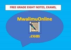 Free Grade Eight Notes, Exams, Schemes and other resources.