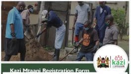 Kazi Mtaani online application form