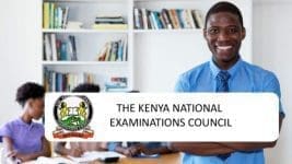 The Knec contracted Professionals CP2 Portal Login