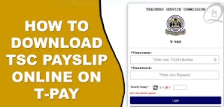 TSC payslip online